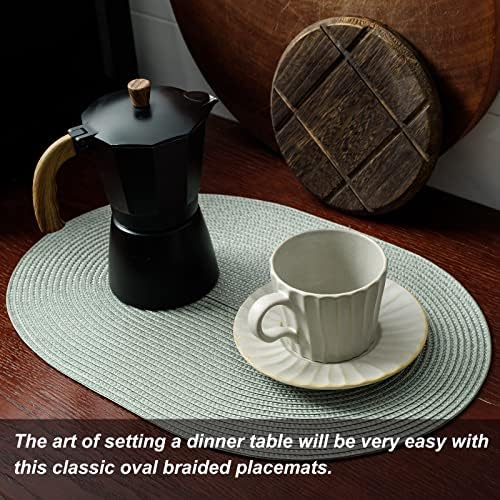 AHHFSMEI Placemats Set of 8 for Dining Table Washable Woven Non-Slip