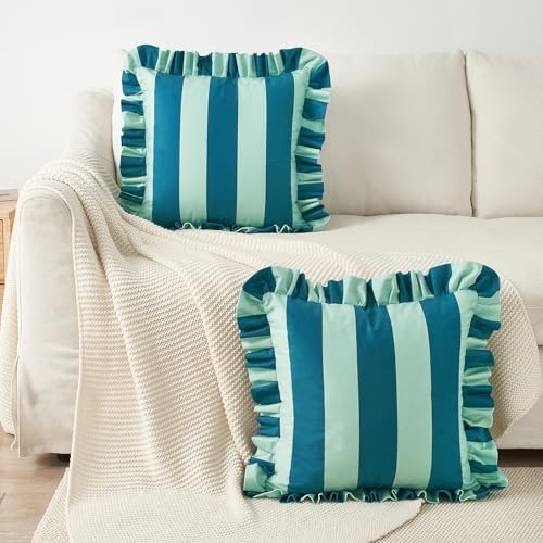 MONDAY MOOSE Decorative Throw Pillow Covers, Set of 2 Water-Resistant
