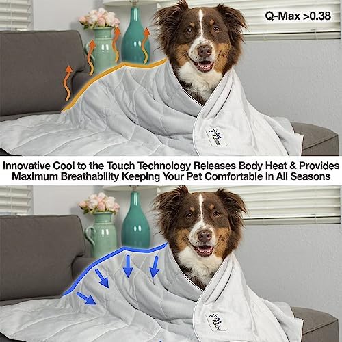 PetFusion Premium Cat and Dog Cooling Blanket, Lightweight Pet Blanket