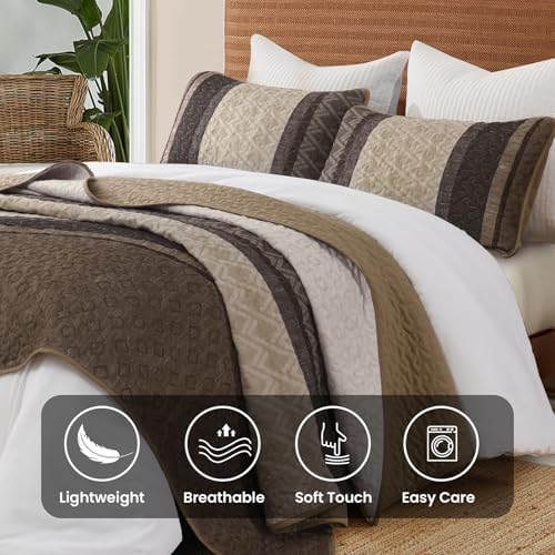 Dinjoy Boho Queen Quilt Set, Striped Soft Bedspread, Taupe