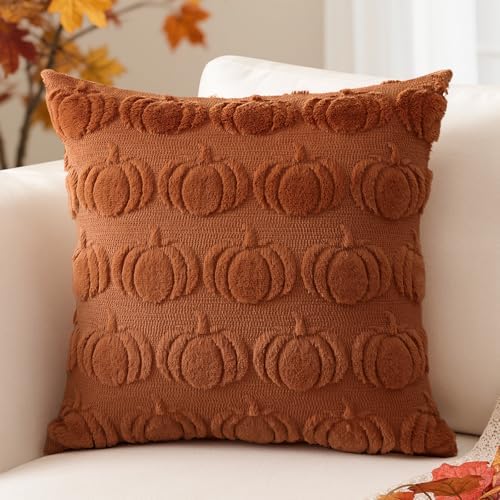 Artscope Fall Pillow Covers 20 x 20 Set of 2 Decorative Autumn Harvest