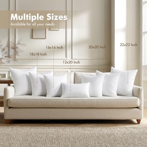 MIULEE 20x20 Pillow Inserts 4 Pack, 100% Virgin Fiber Filling Throw