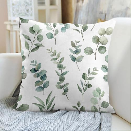 Emvency Throw Pillow Covers, 22 x 22 Inch, Eucalyptus Watercolor