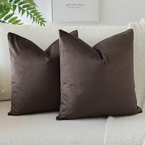 OTOSTAR Pack of 2 Velvet Soft Decorative Throw Pillow Covers Solid