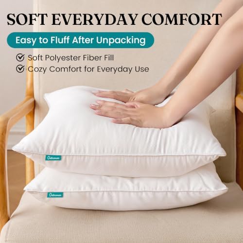 Oubonun 20x20 Throw Pillow Inserts Set of 2, Soft Decorative Couch