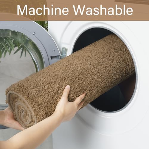 LOCHAS Bathroom Rugs 24x17 Inch, Microfiber Bath Rug Non Slip, Light