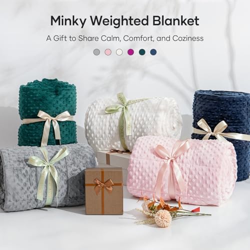 Cottonblue Weighted Blanket 20lbs for Adults Queen Size, 60 x 80in
