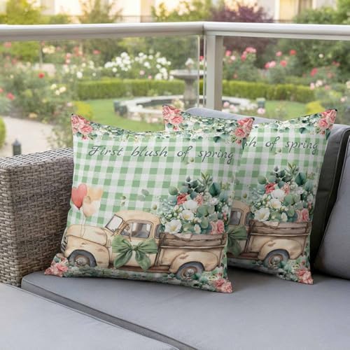 Eucalyptus Trucks Outdoor Pillow Covers Waterproof, All Weather