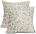 Brown Blue Grey Gray Floral Pillow Covers 22x22 Set of 2 Vintage