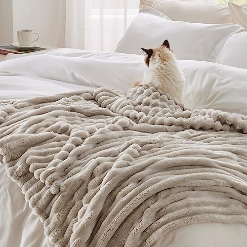 Bedsure Fleece King Blanket(White & Beige)
