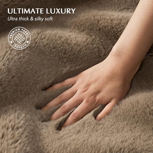 EVERGRACEHOME Luxury Soft Faux Chinchilla Fur Throw Blanket 60”x80”