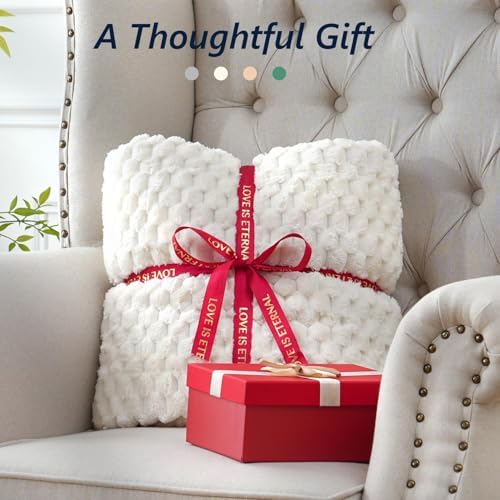 Mr. Sandman Weighted Blankets for Adults, Queen Size 80 x 87 Inches