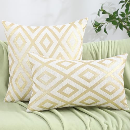 Set of 2 Chenille Jacquard Throw Pillow Covers 20x20 Inches, Luxury