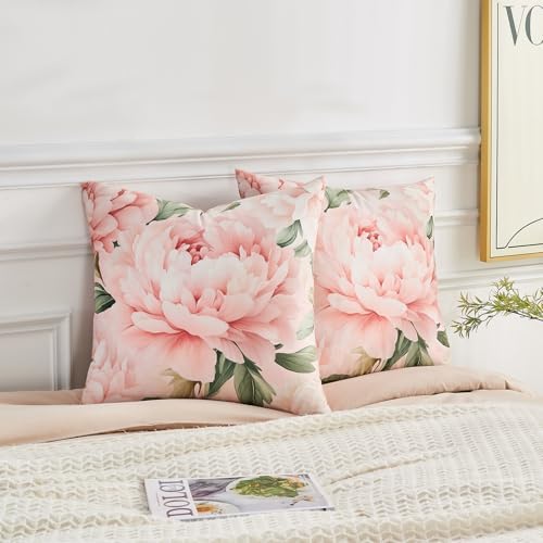 Pink Peony Velvet Pillow Covers 20x20 Set of 2, Shabby Chic