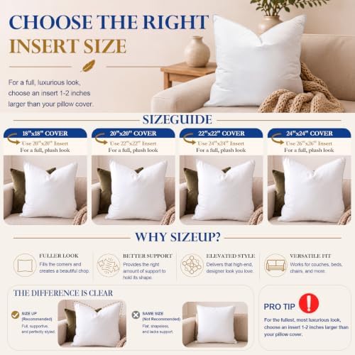 BETU 20x20 Pillow Inserts,Set of 2 Feather Down Throw Pillows for