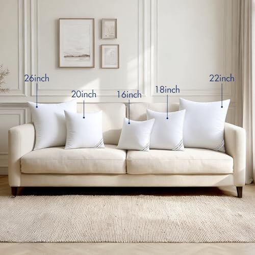 MIULEE 20x20 Pillows Inserts Pack of 2, Down Alternative Virgin