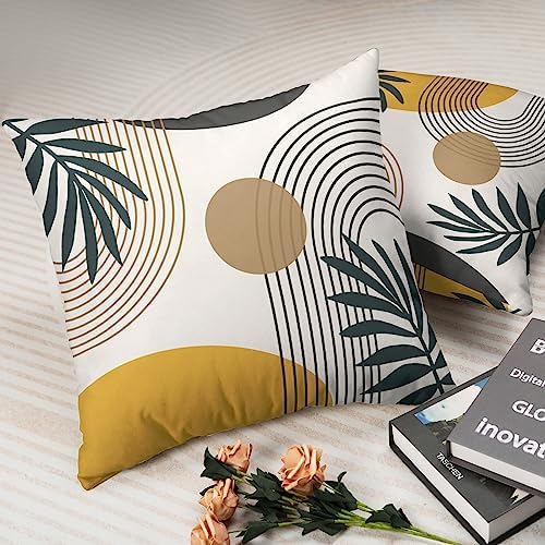 2 Pack Abstract Boho Pillow Covers 20x20 Mid Modern Decorative Pillow