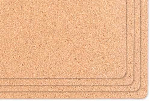 KAF Home Cork Placemats 16 x 12-Inch Set of 4 (Buff Check Pumpkin)