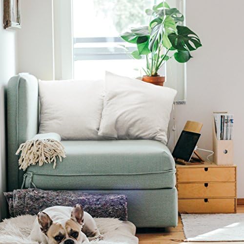 EDOW Throw Pillow Insert, Set of 2 Down Alternative Polyester Square