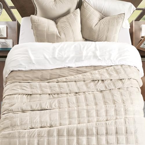 EverGrace 3 Pieces Double Box Stitch Luxurious Velvet Quilt, Queen
