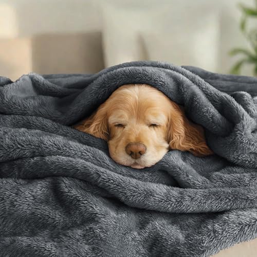 Exclusivo Mezcla Fuzzy Plush Fleece Bed Blanket Queen Size, Dark Grey