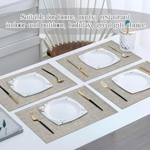 JeogYong Wipeable Placemats Set of 8 Washable Placemats Woven Table