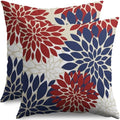 4th of July Blue Red White Pillow Covers 20X20 Inch Set of 2, Modern