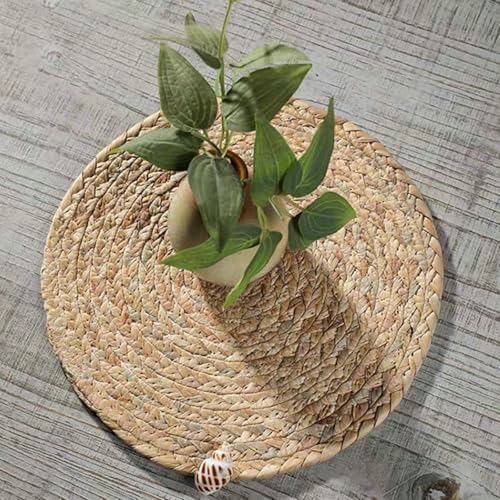 Dining Room Placemats Set for 8, 14.97 in / 38 CM, Round with Weaved