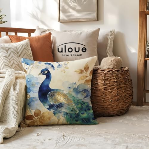 ULOVE LOVE YOURSELF 2Pack Peacock Throw Pillow Covers Only Watercolor