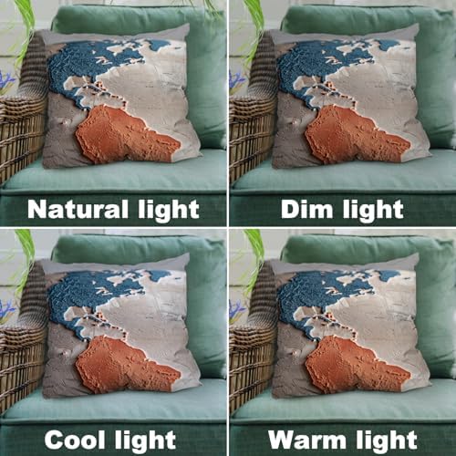Shrahala Embossed Globe Decorative Pillow Covers, Terracotta and Blue