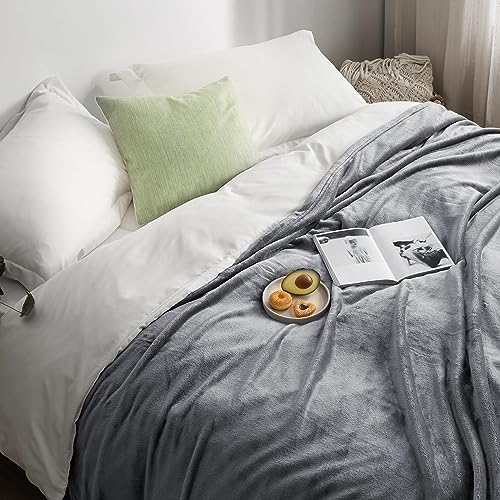 Bedsure Fleece Bed Blankets Queen Size Soft Lightweight Plush Fuzzy