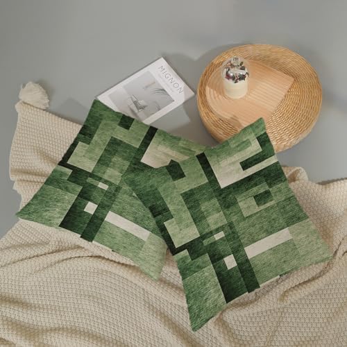 Sage Green Olive White Pillow Covers 20x20, Abstract Art Outdoor
