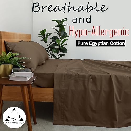 Cottington Lane 4 Piece Twin XL Size Sheet Set, 100% Egyptian Cotton