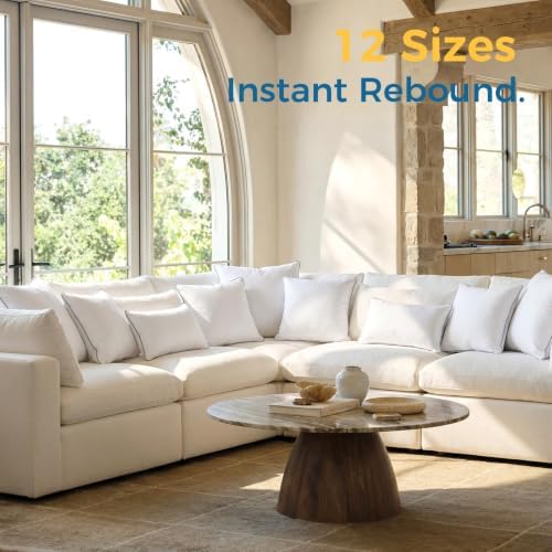 Sasttie 18x18 Throw Pillow Inserts Set of 2, Square Pillows for Couch