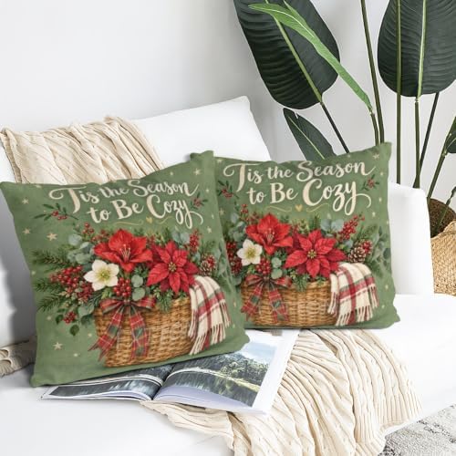 Plaid Decor Pillow Covers 22x22 Inch Set of 2 Linen for Christmas