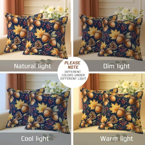 Acorns Throw Pillow Covers Set of 2, Rustic Natural Pinecones Leaves