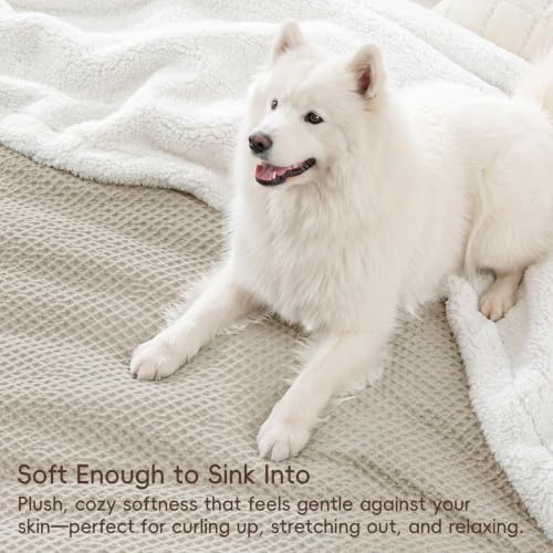 PHF Waffle Sherpa Blanket King Warm for Winter, 104"x90", Light Taupe