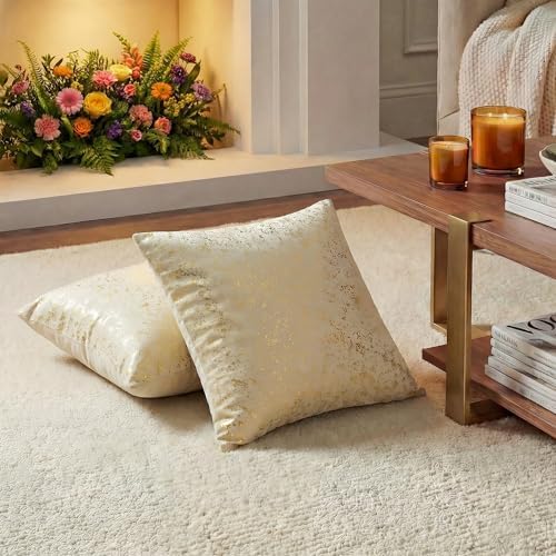 AVOIN colorlife Gold Foil Velvet Throw Pillow Covers 20 x 20 Inch