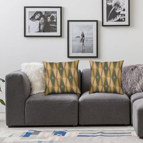 Mid-Century Modern Throw Pillow Covers 20x20 Inch Set of 2, Vintage