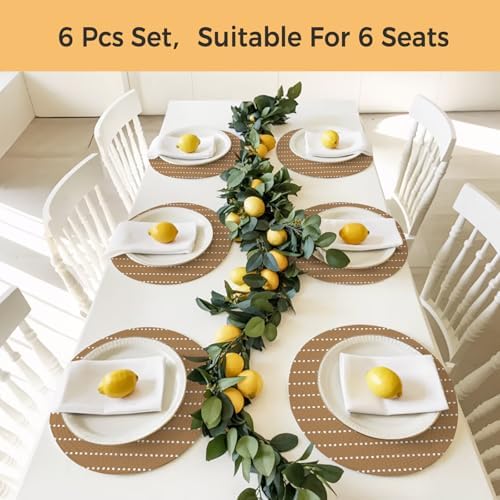 Fall Neutral Tan Round Braided Placemats Set of Set of 8 Heat