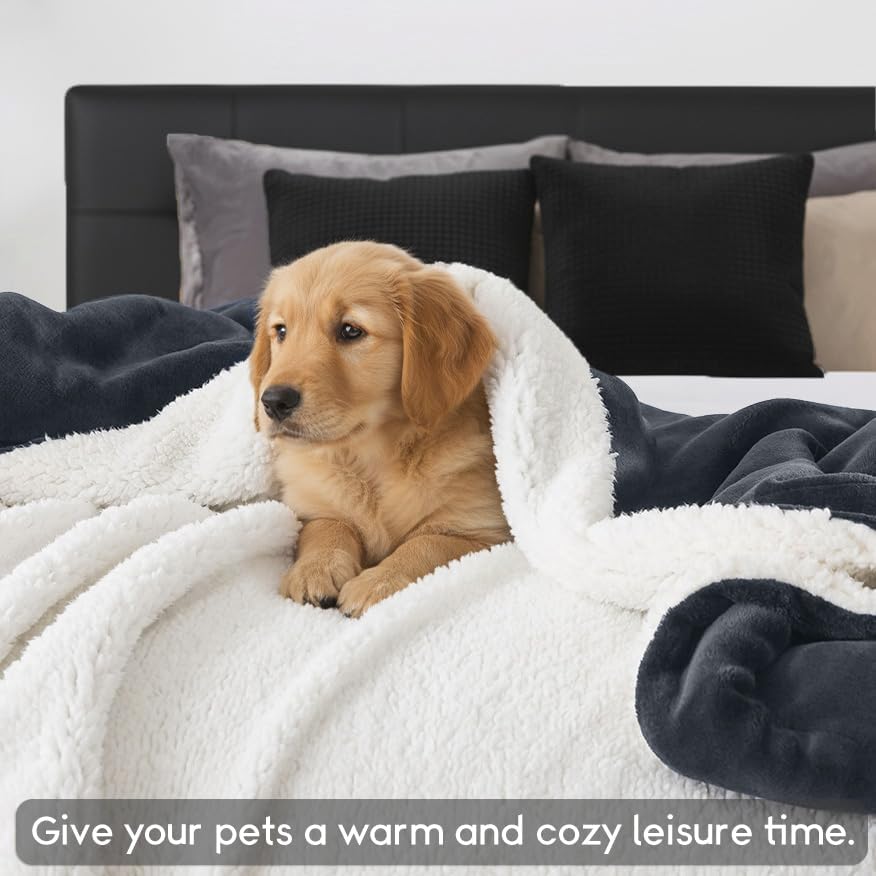 WDCOZY Sherpa Fleece Throw Blanket 90"x90", Soft Fuzzy Bed Blankets