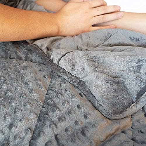 ALANSMA Reversible Weighted Blanket for All Season, Luxury Velvet