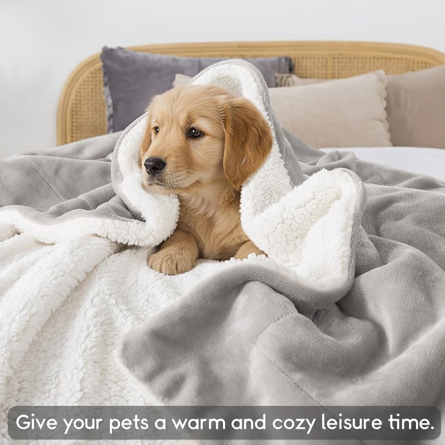 WDCOZY Sherpa Fleece Throw Blanket 60"x80", Soft Bed Blankets, Light