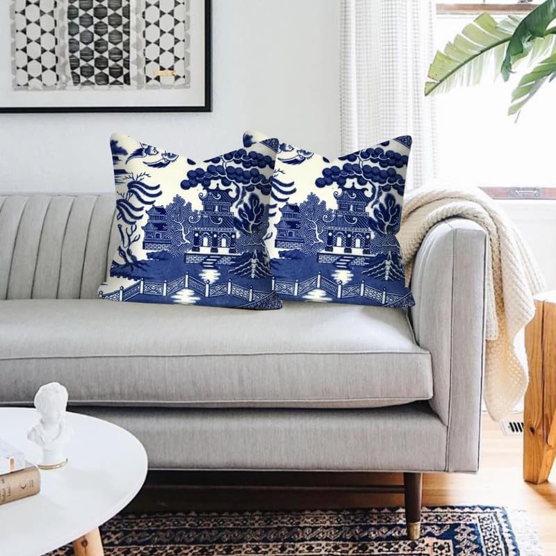 Chinoiserie Blue and White Pillow Covers 20x20 Set of 2,Blue and White