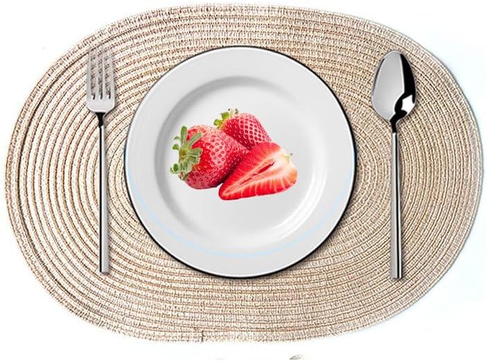 Placemats Set of 4 - Oval Woven Cotton Table Mats Non-Slip Heat