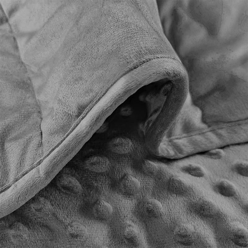 ALANSMA Reversible Weighted Blanket for All Season, Luxury Velvet