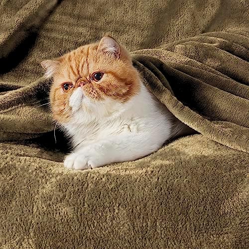 Bedsure GentleSoft Fleece Blankets Queen Size Camel - Bed Blanket Soft