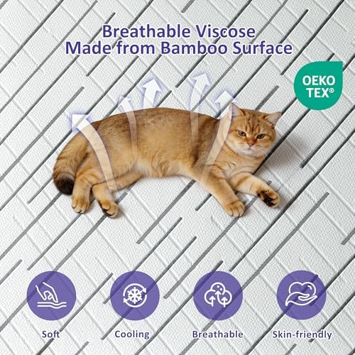 3 Inch Gel Memory Foam Mattress Topper Queen Size with Removable &
