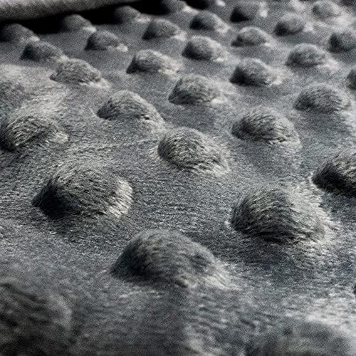 ALANSMA Reversible Weighted Blanket for All Season, Luxury Velvet