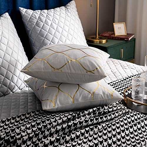 DEZENE Gold Velvet Throw Pillow Covers Off White: 2 Pack 20x20 Inch